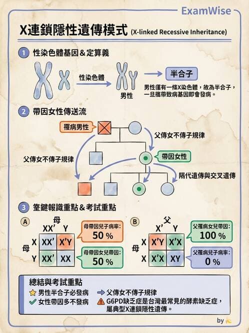 醫檢師 - 遺傳疾病基因檢測 - AI 圖文解析預覽