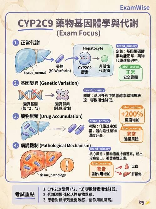 醫檢師 - 藥物相關基因檢測 - AI 圖文解析預覽
