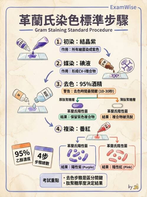 醫檢師 - 檢驗基礎技術 - AI 圖文解析預覽