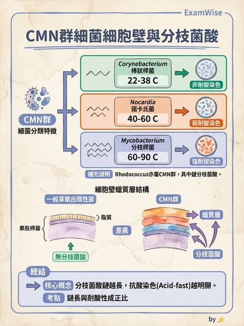 醫檢師 - 實驗室安全與微生物特性 - AI 圖文解析預覽