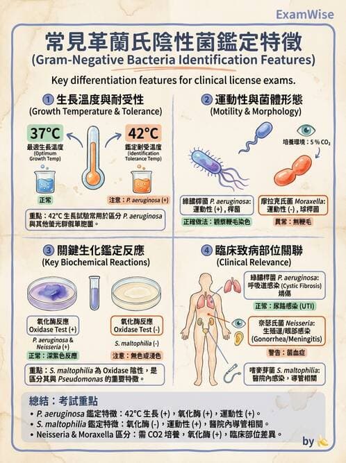 醫檢師 - 腸內菌鑑別方法與培養基 - AI 圖文解析預覽