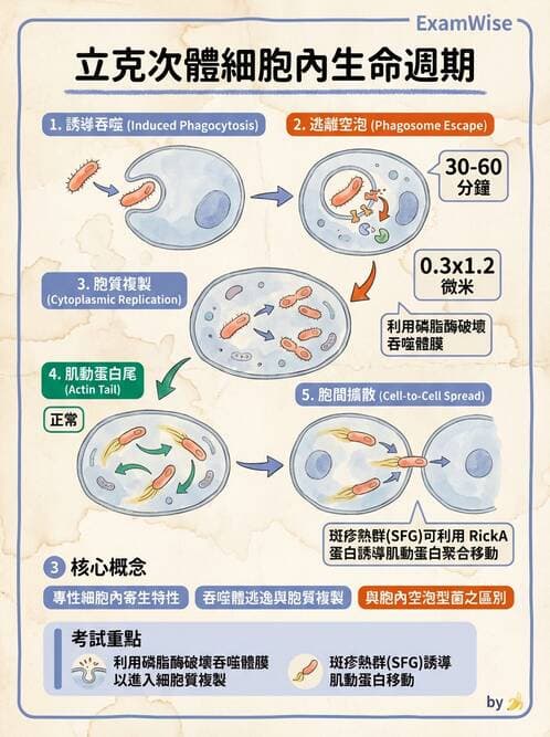 醫檢師 - 特殊病原體 - AI 圖文解析預覽