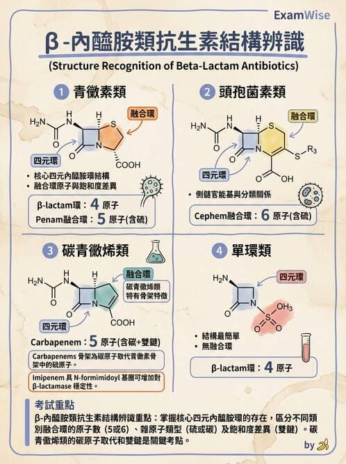 醫檢師 - 抗微生物製劑 - AI 圖文解析預覽
