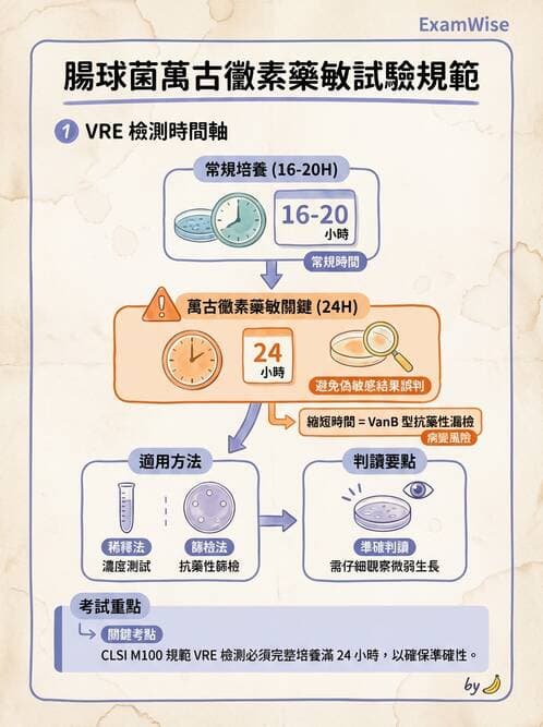 醫檢師 - 藥敏試驗方法 - AI 圖文解析預覽