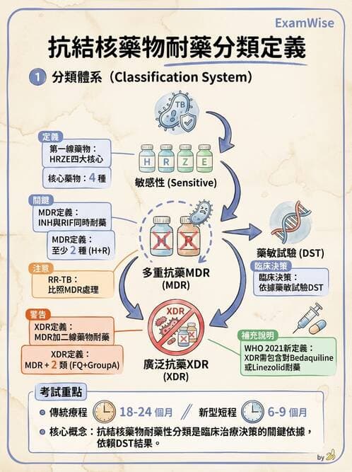 醫檢師 - 抗微生物製劑 - AI 圖文解析預覽