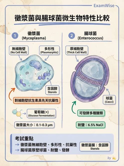 醫檢師 - 特殊病原體 - AI 圖文解析預覽