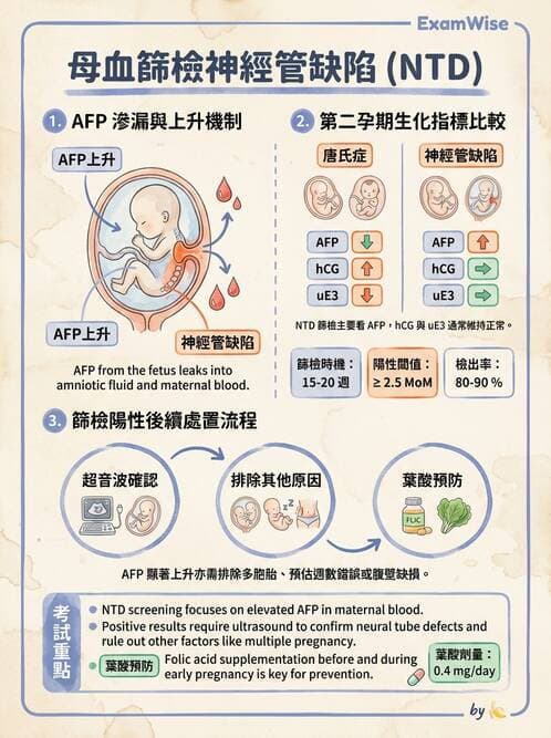 醫檢師 - 腫瘤標誌 - AI 圖文解析預覽