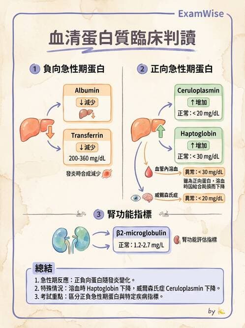 醫檢師 - 血清蛋白與蛋白質檢測 - AI 圖文解析預覽