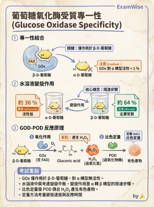 醫檢師 - 醣類代謝與糖尿病 - AI 圖文解析預覽