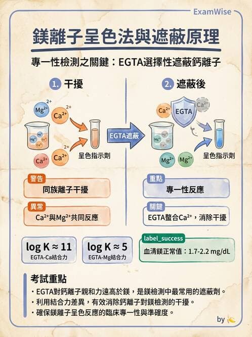 醫檢師 - 電解質與微量元素 - AI 圖文解析預覽