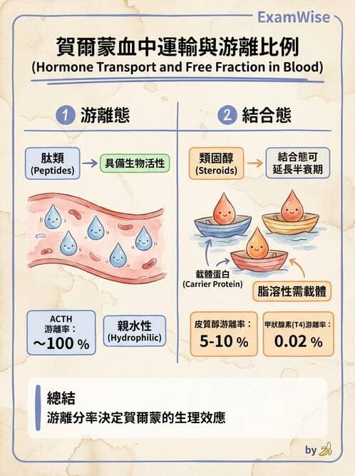 醫檢師 - 甲狀腺與垂體內分泌 - AI 圖文解析預覽