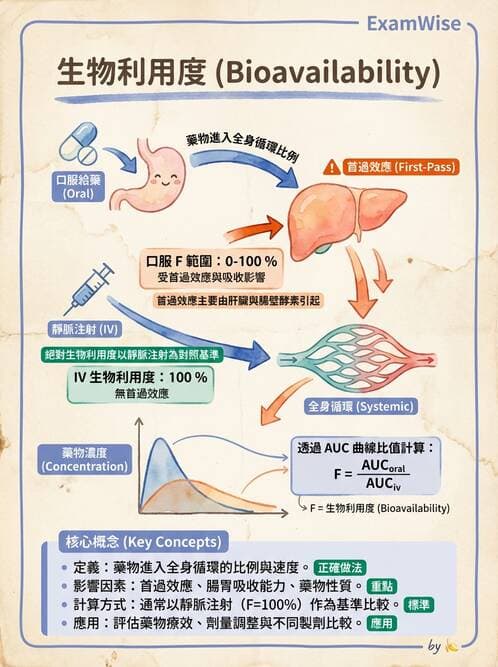 醫檢師 - 治療藥物監測與毒物學 - AI 圖文解析預覽