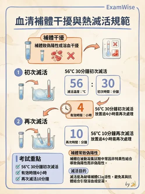 醫檢師 - 實驗室測試免疫法 - AI 圖文解析預覽