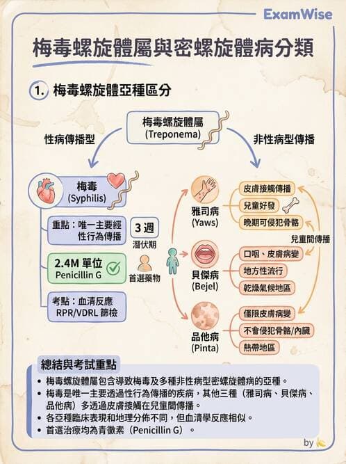 醫檢師 - 急性發炎蛋白與微生物感染血清學 - AI 圖文解析預覽