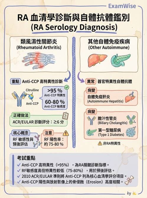 醫檢師 - 其他自體免疫疾病與自體抗體檢驗 - AI 圖文解析預覽