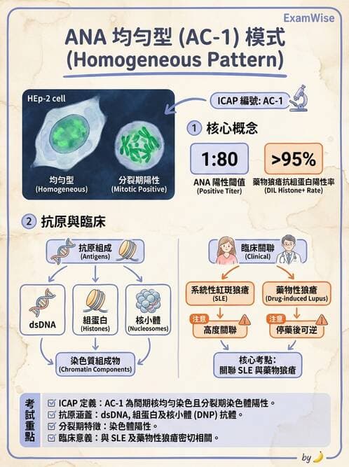 醫檢師 - 其他自體免疫疾病與自體抗體檢驗 - AI 圖文解析預覽