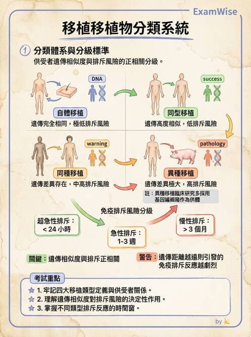 醫檢師 - 組織型與移植免疫學 - AI 圖文解析預覽