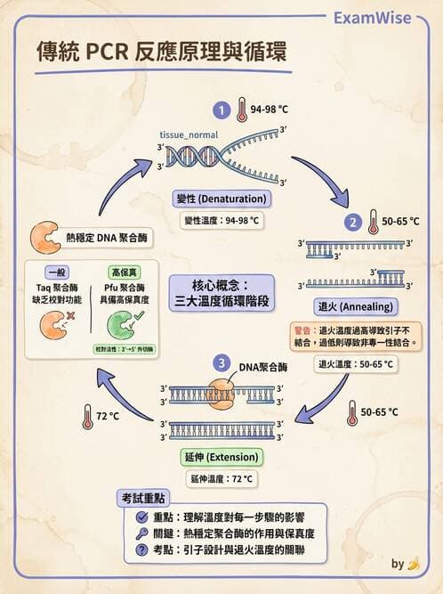 醫檢師 - 病毒檢驗技術 - AI 圖文解析預覽
