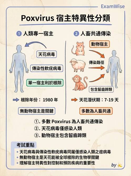 醫檢師 - 腺病毒與痘病毒 - AI 圖文解析預覽