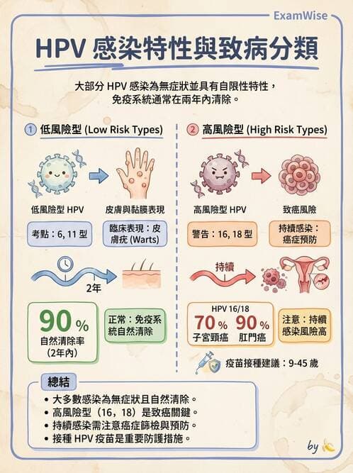 醫檢師 - 人類乳突病毒 - AI 圖文解析預覽