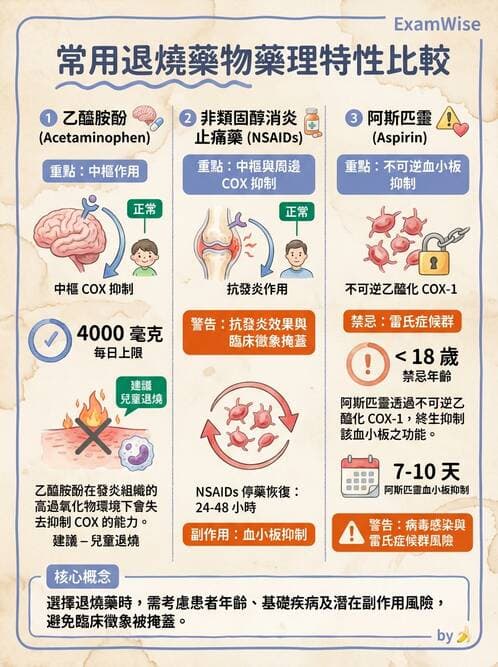 專師 - 敗血症與發燒通論 - AI 圖文解析預覽