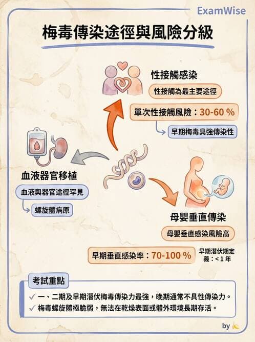 專師 - 性傳播感染 - AI 圖文解析預覽