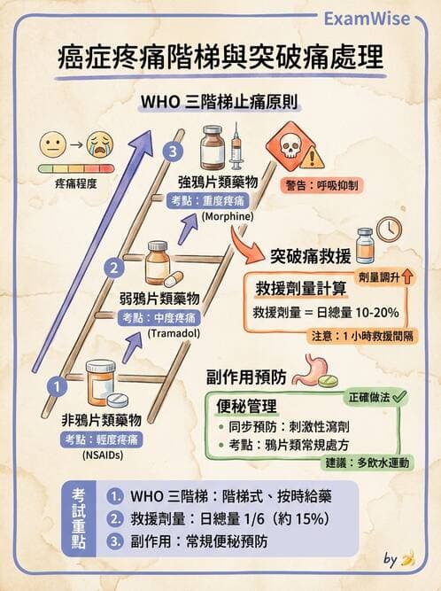 專師 - 安寧緩和與臨終照護 - AI 圖文解析預覽