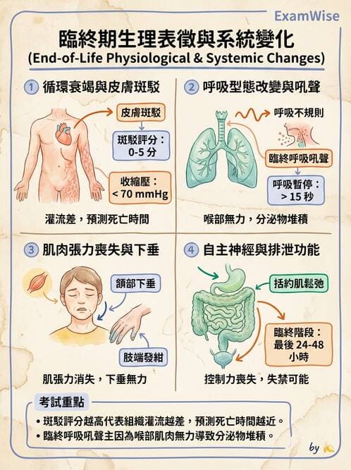 專師 - 安寧緩和與臨終照護 - AI 圖文解析預覽