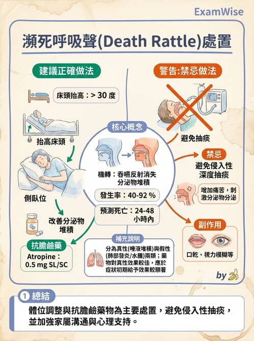 專師 - 安寧緩和與臨終照護 - AI 圖文解析預覽