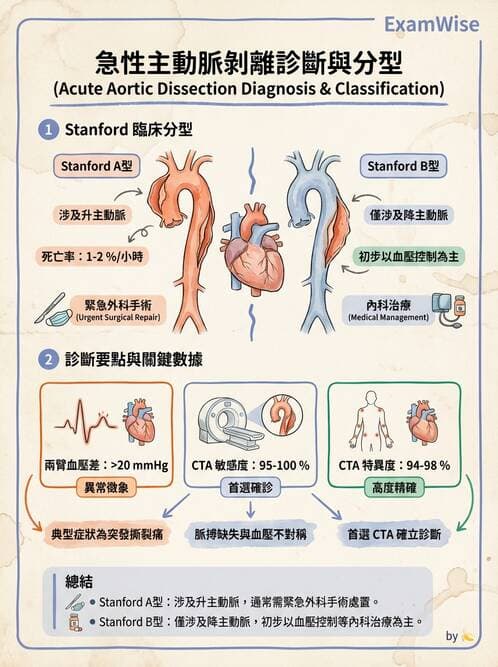 專師 - 主動脈疾病 - AI 圖文解析預覽