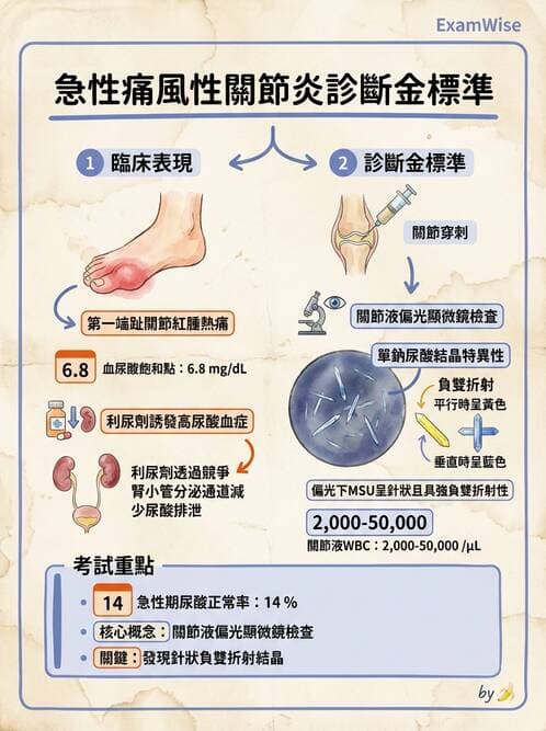 專師 - 風濕免疫疾病 - AI 圖文解析預覽