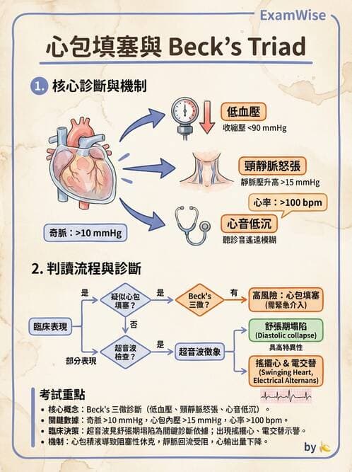 專師 - 心包膜與心肌疾病 - AI 圖文解析預覽