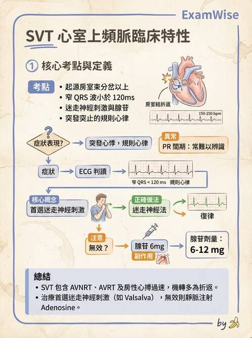 專師 - 心律不整與ECG判讀 - AI 圖文解析預覽