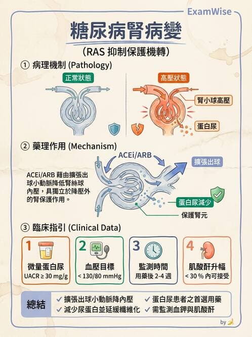 專師 - 糖尿病腎病變與腎絲球疾病 - AI 圖文解析預覽