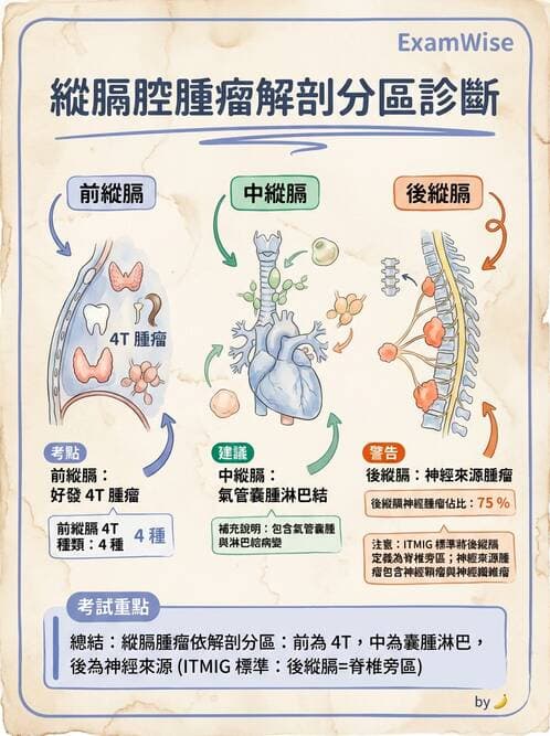 專師 - 胸腔外科 - AI 圖文解析預覽