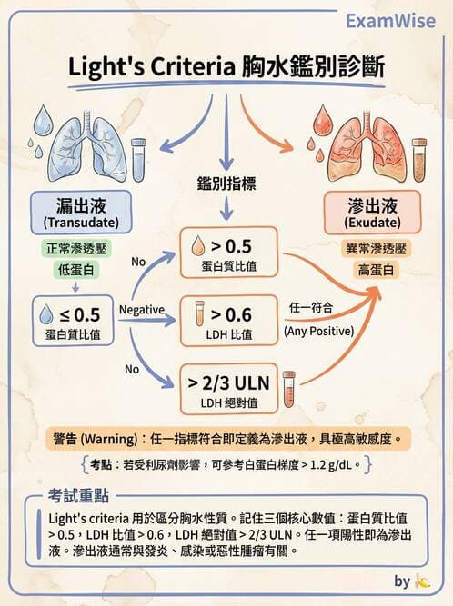 專師 - 肋膜疾病 - AI 圖文解析預覽