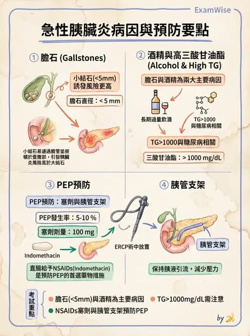 專師 - 膽道與胰臟 - AI 圖文解析預覽