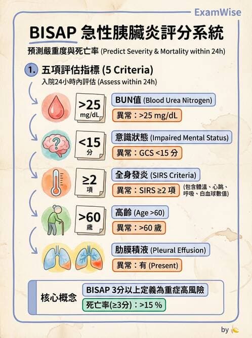 專師 - 膽道與胰臟 - AI 圖文解析預覽