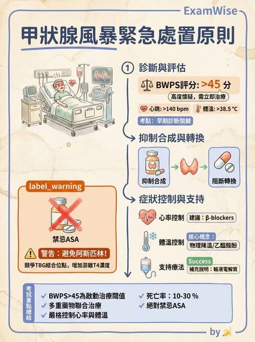 專師 - 甲狀腺疾病 - AI 圖文解析預覽