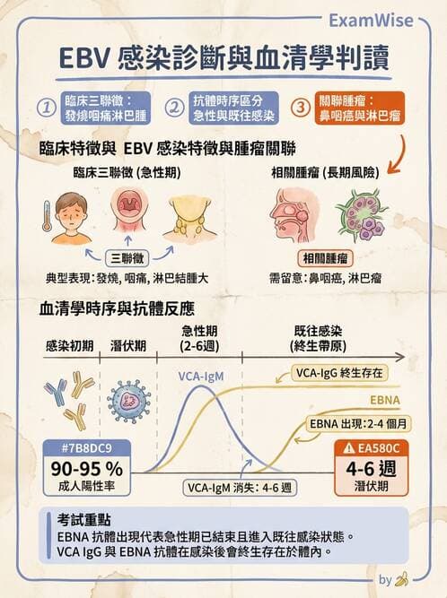 專師 - 法定傳染病與新興感染 - AI 圖文解析預覽