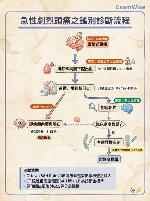 專師 - 腦血管疾病 - AI 圖文解析預覽