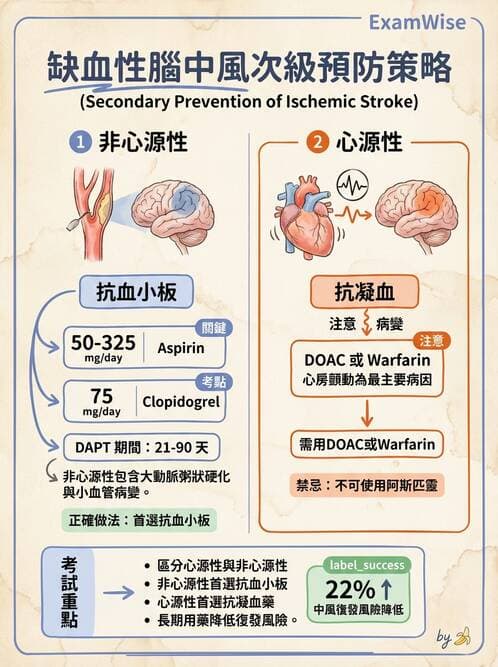 專師 - 腦血管疾病 - AI 圖文解析預覽