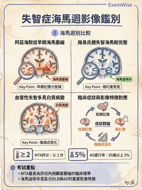 專師 - 神經退化與免疫疾病 - AI 圖文解析預覽