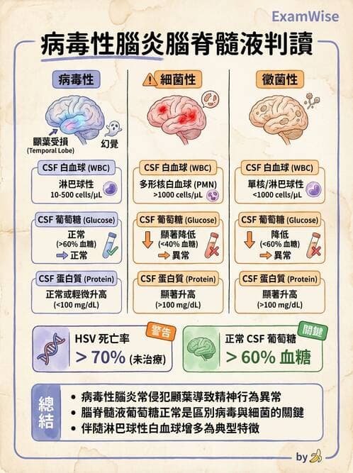 專師 - 中樞神經感染 - AI 圖文解析預覽