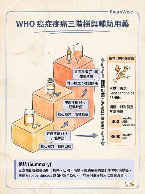 專師 - 疼痛控制與止痛藥物 - AI 圖文解析預覽