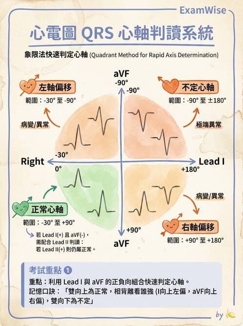 醫檢師 - 心電圖基礎與判讀 - AI 圖文解析預覽