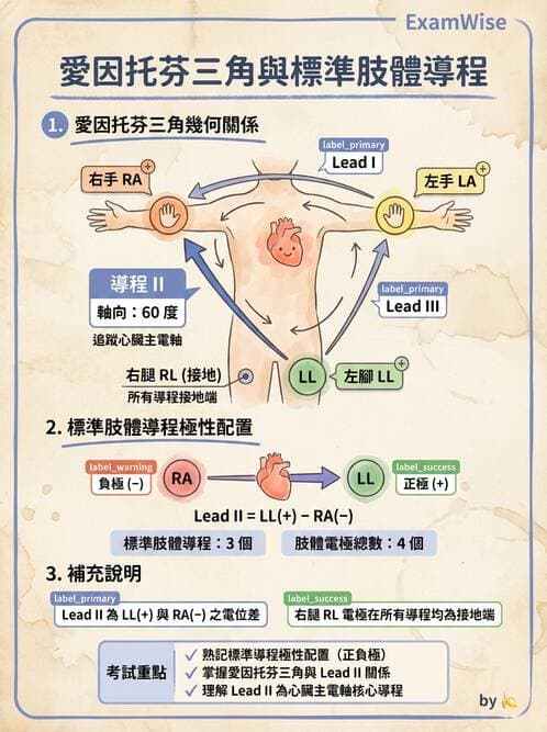 醫檢師 - 心電圖基礎與判讀 - AI 圖文解析預覽