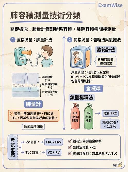 醫檢師 - 肺功能基礎與指標 - AI 圖文解析預覽