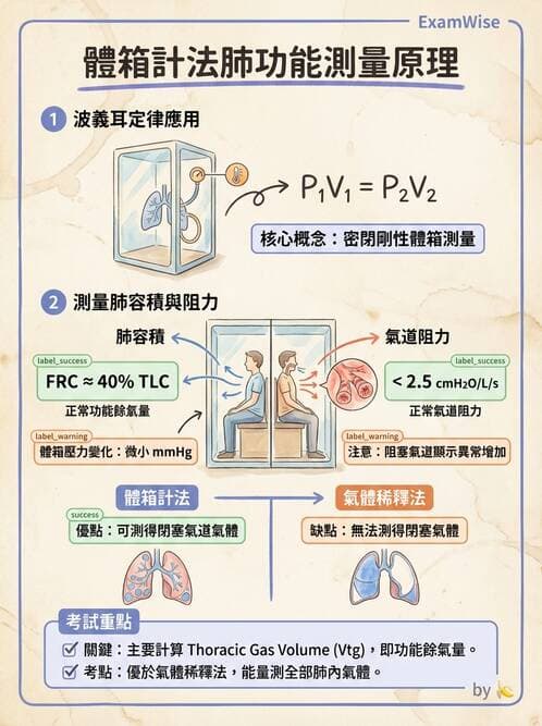 醫檢師 - 肺功能基礎與指標 - AI 圖文解析預覽