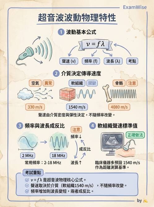 醫檢師 - 超音波檢查 - AI 圖文解析預覽